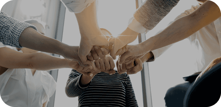 与客户共同成长